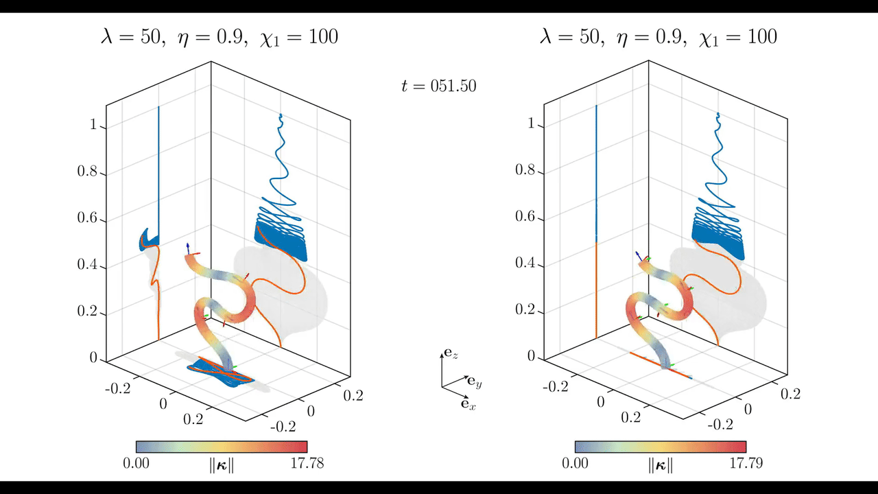 three_dimensional_flutter.gif